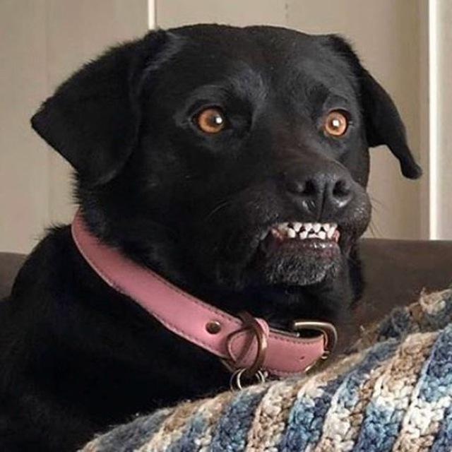 Apple Watch Space Gray