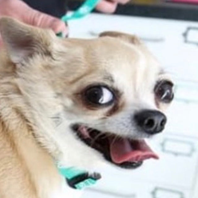 Apple Watch Space Gray