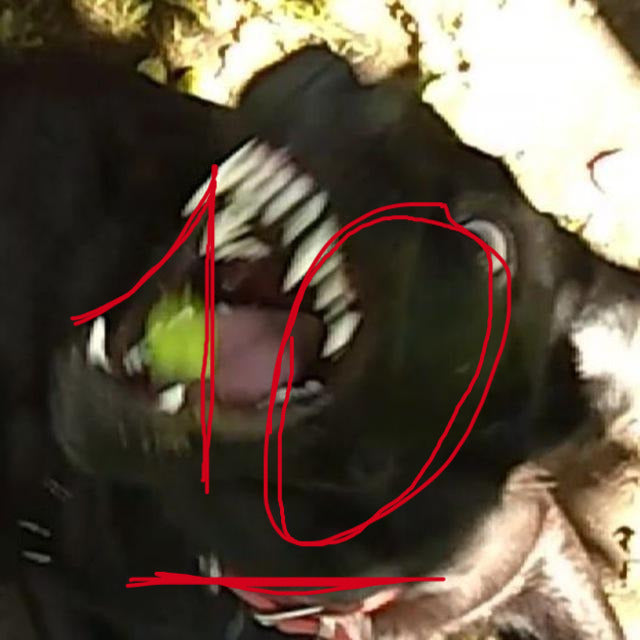 Apple Watch Space Gray