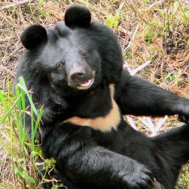 Apple Watch Space Gray