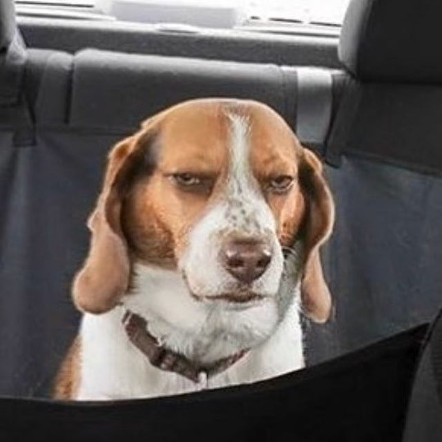 Apple Watch Space Gray