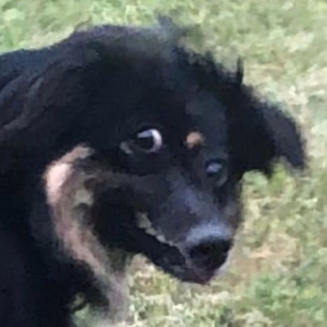 Apple Watch Space Gray