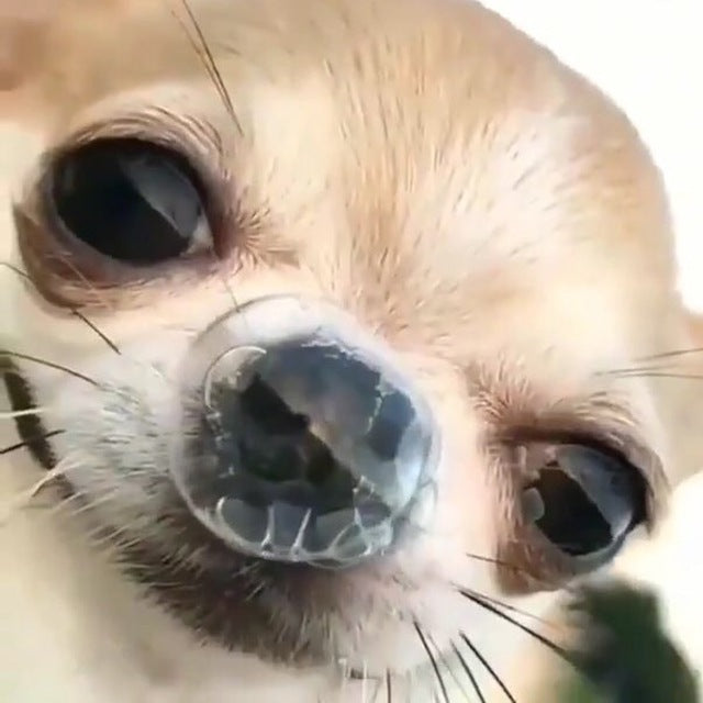 Apple Watch Space Gray