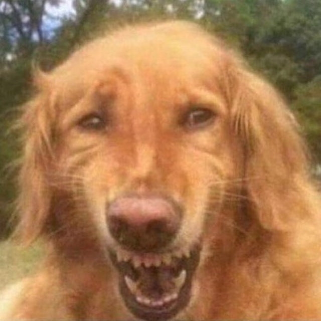 Apple Watch Space Gray