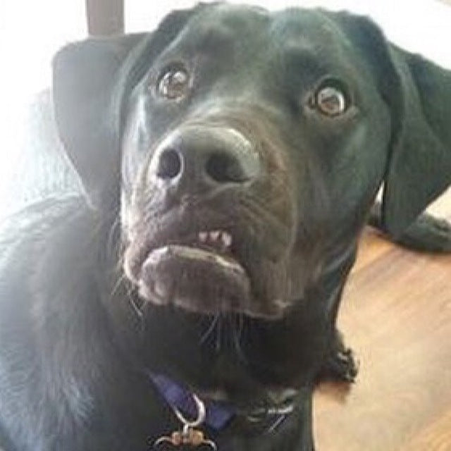 Apple Watch Space Gray