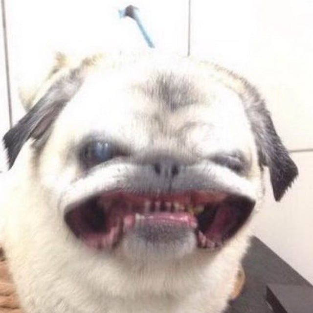 Apple Watch Space Gray