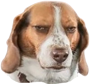 Apple Watch Space Gray